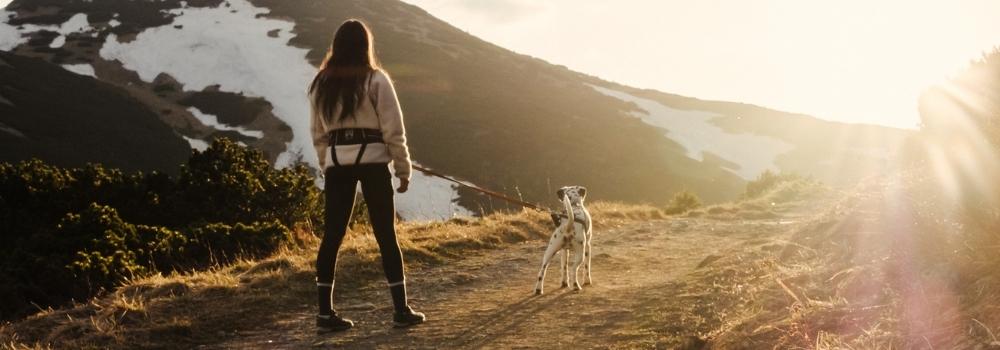 Trekking con cane: i nostri consigli per essere preparati