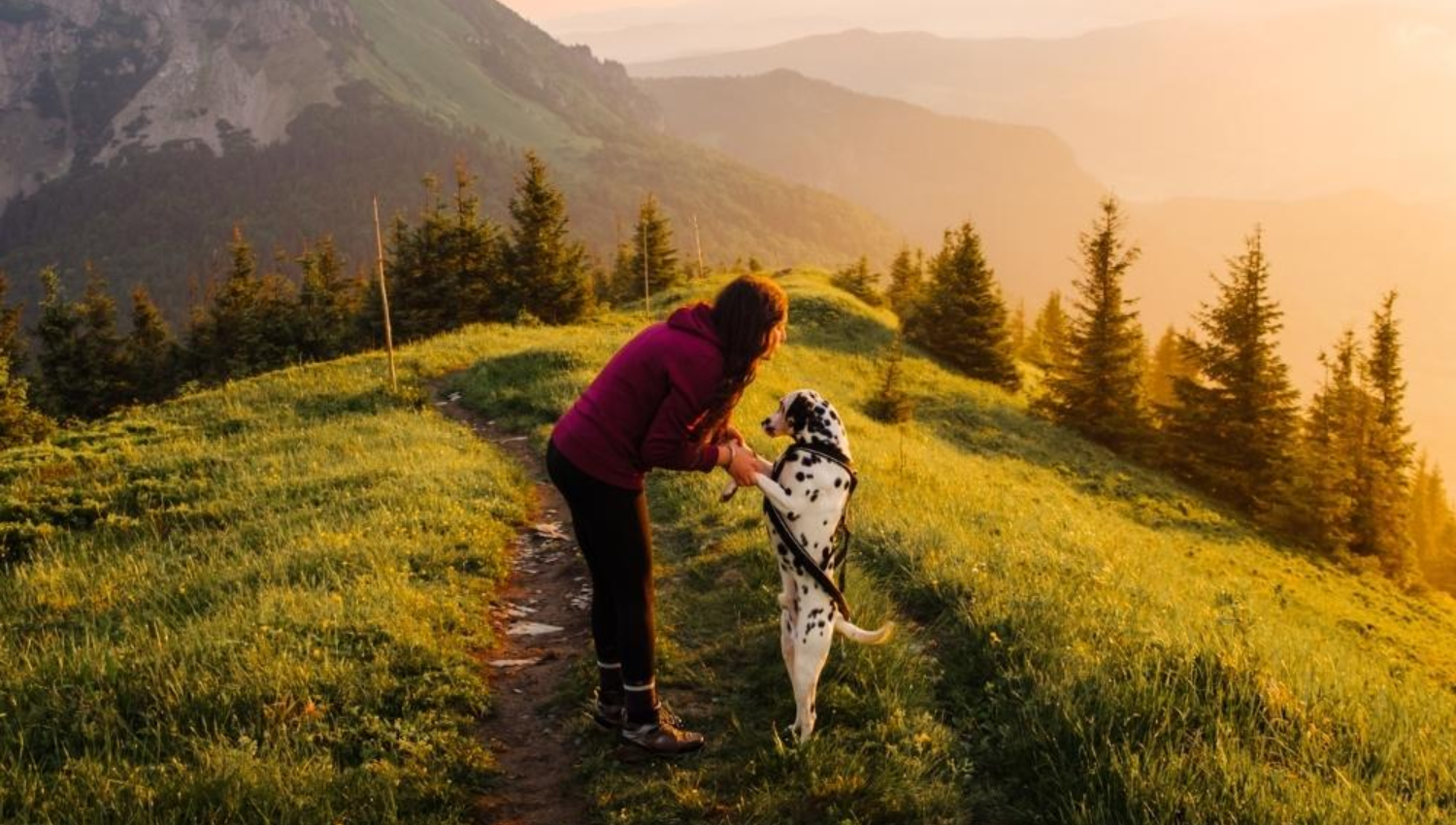 Trekking con cane: i nostri consigli per essere preparati